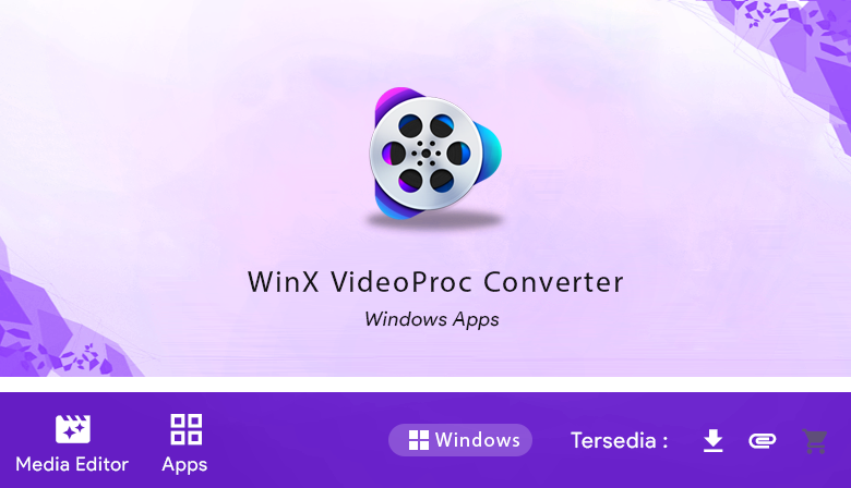 winx videoproc converter